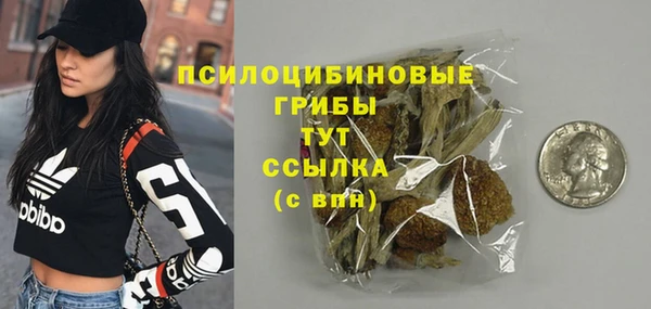 эйфоретик Алзамай